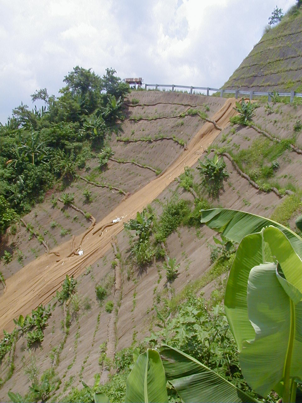 Coir Geo Bed/Blanket 